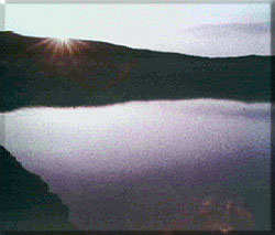 ����������1