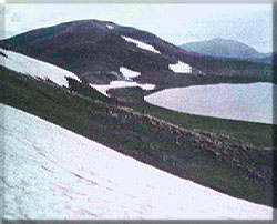 ����������4