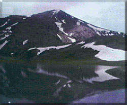 ����������5