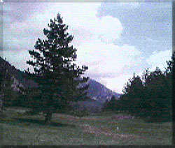 ����������6