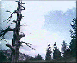 ����������7