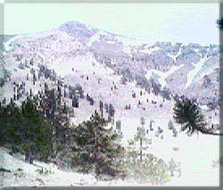 ����������8