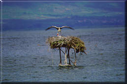 �������1