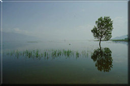 �������2