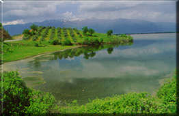 �������4