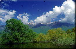 �������5